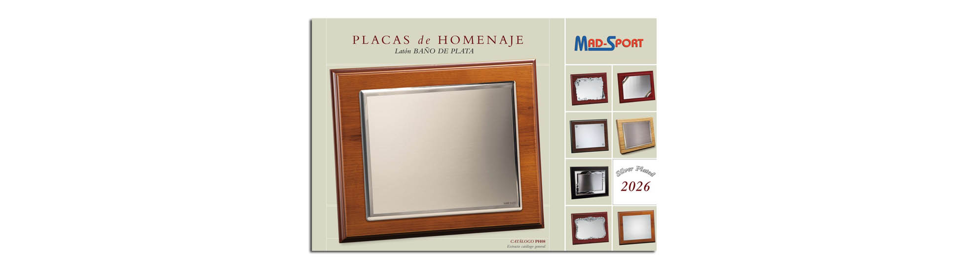 Placas de homenaje baño plata Placas de homenaje